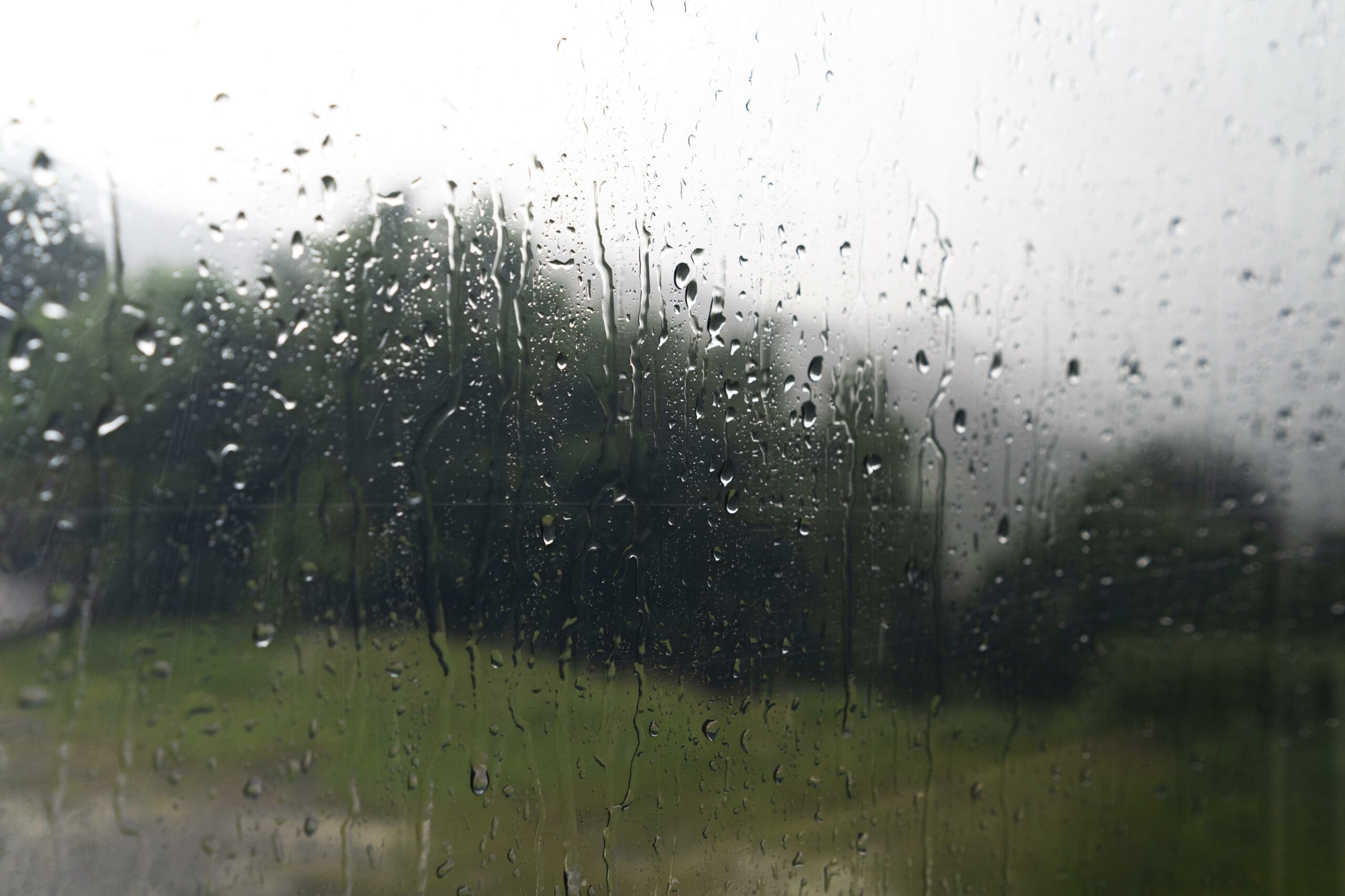 Ropa de Abrigo y Lluvia — productos